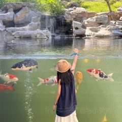大肚林山庄·森林餐厅 여행 사진