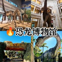 E-Restaurant User Photo