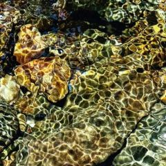 汇水山庄 User Photo