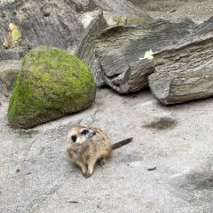 普洱小熊猫庄园·天碧餐厅 User Photo