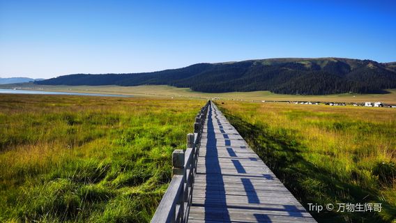 sai li mu hu qin shui tan lu ying di