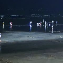 银滩大酒店-餐厅 User Photo