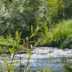 子昱饭店 User Photo