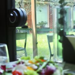 Saliey Garden User Photo