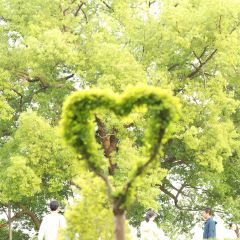 MU MU XIAN User Photo