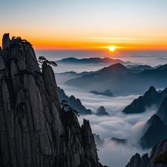 秀嫂挞粿 User Photo