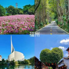 GU HAI GAO TUAN DIAN User Photo