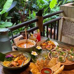 望天树雨林餐厅 User Photo