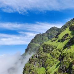 Zhan yi gong shi la zi Chicken (zhan yi) User Photo