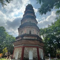 GOLD HOMELAND User Photo