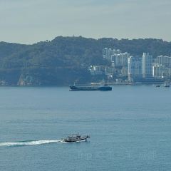 Having Moment User Photo