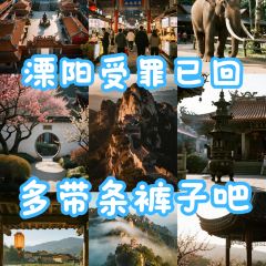 YU YAN LOU User Photo