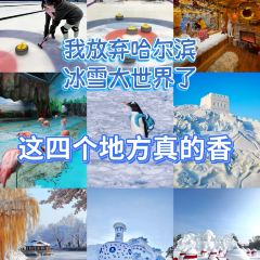 LIULUOGUO User Photo