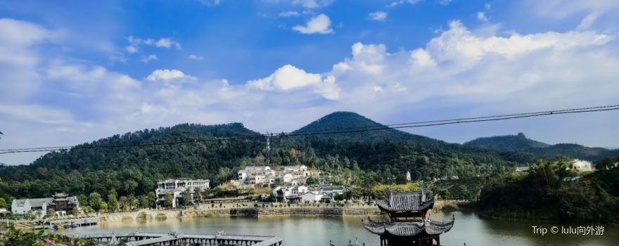 lai su zi hua feng ling mu hua hai