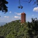訪客