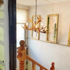 十六巷 User Photo