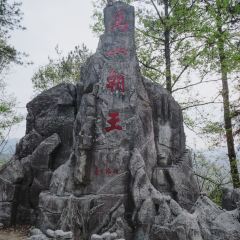 桃园生态农庄 여행 사진