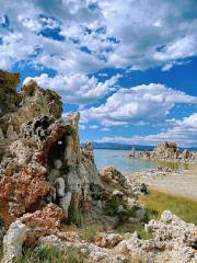 Boardwalk Trail, Mono Lake Park