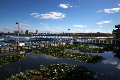 芥南餐厅·浮隐于世