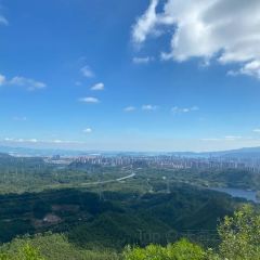 漢堡王(惠陽星河店)張用戶圖片