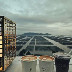MOJ coffee(楠溪江石柱店) User Photo