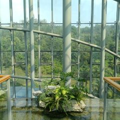 小隱圍屋張用戶圖片