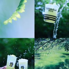 甜啦啦鲜果茶(都匀民族师范学院店) User Photo