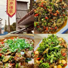 一三一縹香兔張用戶圖片