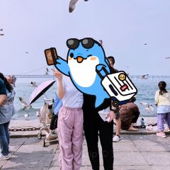 喜鼎海胆水饺(星海店) User Photo