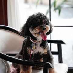 写城咖啡烘焙工坊店 User Photo