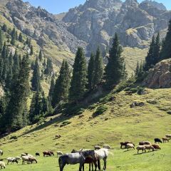 Shagou (miaopude) bishushanzhuang User Photo