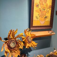 VanGogh Fans Café User Photo