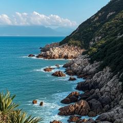 79号渔船海鲜饭店(岗厦店) User Photo