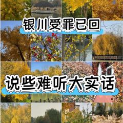 老马家羊杂碎店 User Photo