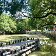 林記沙茶麪（東泰路店）張用戶圖片