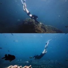 HUA NAN BAO User Photo