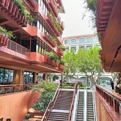 CAMINETTO User Photo