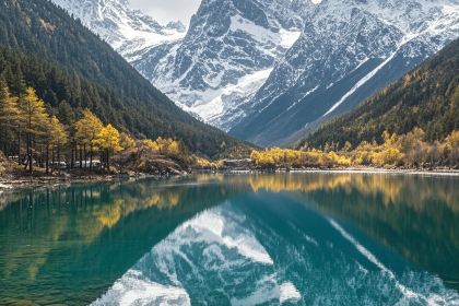 正宗會理雞火絲(龍眼井店)