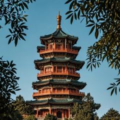 위 가문의 새끼 여행 사진