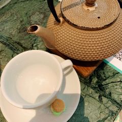 Candlenut User Photo