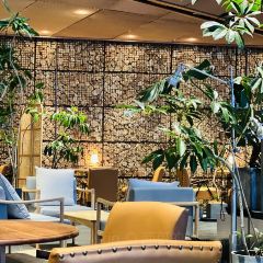 一尺花园(园博园店) User Photo