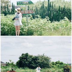 Bairi User Photo