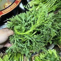 青城高原牦牛汤·川西特色火锅(总店) 여행 사진