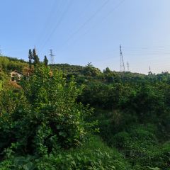 桑拿鸡 User Photo
