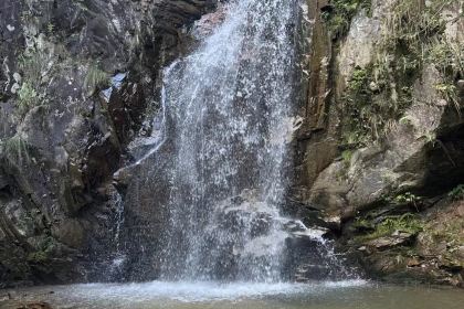 罗田天堂寨吊锅(英山店)