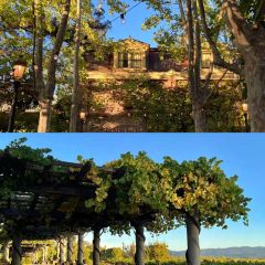 Ristorante Allegria User Photo