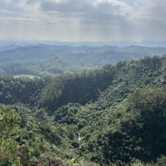 茶山天然居 User Photo
