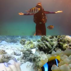 Star Fish Restaurant User Photo