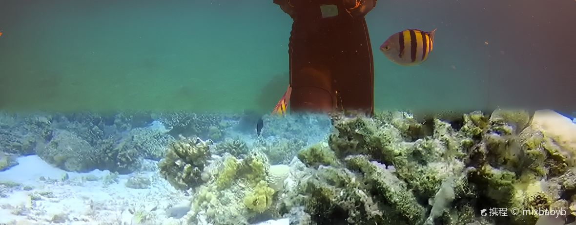 Star Fish Restaurant