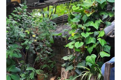 路南往事(利民小区店)